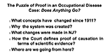 The Puzzle of Proof in an Occupational Disease Case: Does Anything Go?